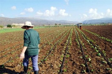 Επιταχύνονται οι διαδικασίες επιστροφής ΦΠΑ σε αγρότες 