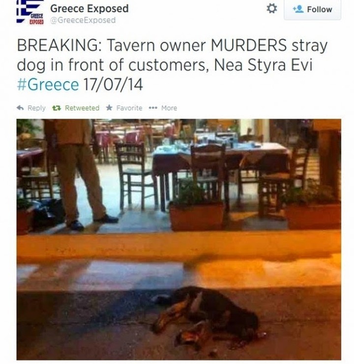 Ιδιοκτήτης ταβέρνας σκότωσε κουτάβι μπροστά στους πελάτες...
