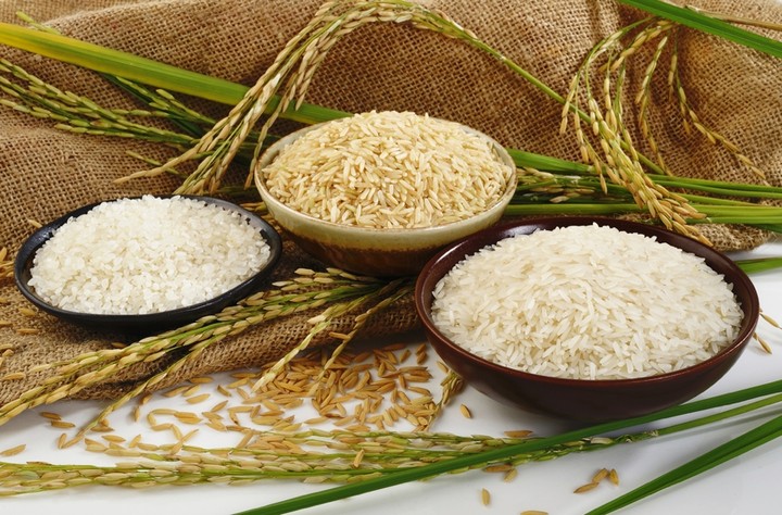 Ερευνα για νέες ποικιλίες ρυζιού στο Αγρόκτημα Καλοχωρίου