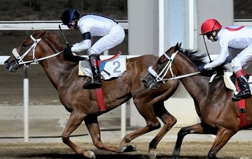 Πρεμιέρα για τις Ιπποδρομίες - Οι αλλαγές σε στίβο, εγκαταστάσεις και πρακτορεία