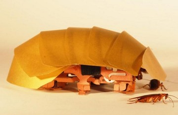 Ρομπότ-κατσαρίδα που τρυπώνει παντού