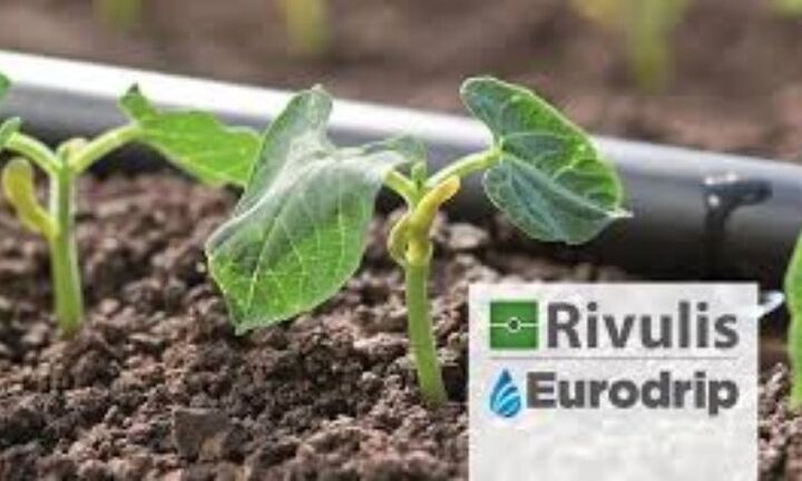 Συνεργασία της Rivulis-Eurodrip με την Jaffer Agro Services 
