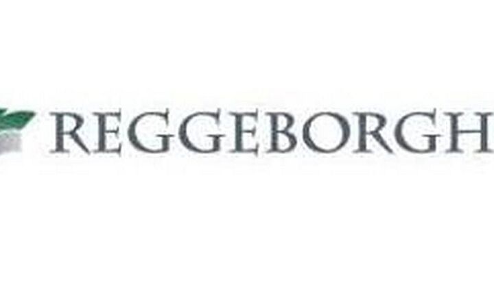 Την αποεπένδυσή της από την ΓΕΚ ΤΕΡΝΑ ανακοίνωσε η Reggeborgh Invest