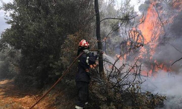 Φωτιές: Πολύ υψηλός κίνδυνος την Παρασκευή -Οι περιοχές στο «κόκκινο» (χάρτης)