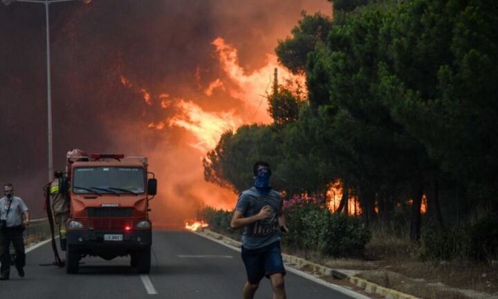 Σκρέκας: Aναδασωτέες μέσα σε 30 ημέρες οι περιοχές που κάηκαν