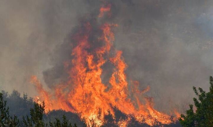 Πυρκαγιά στην Ανάβυσσο στην περιοχή Άγιος Νικόλαος