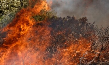 Ανεξέλεγκτη η φωτιά που καίει δασική έκταση στην περιοχή Λιβαδάκι της Ηλείας