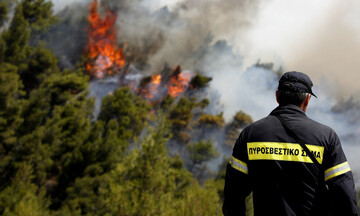 Θεσσαλονίκη: Πυρκαγιά σε δασική έκταση στη Βόλβη