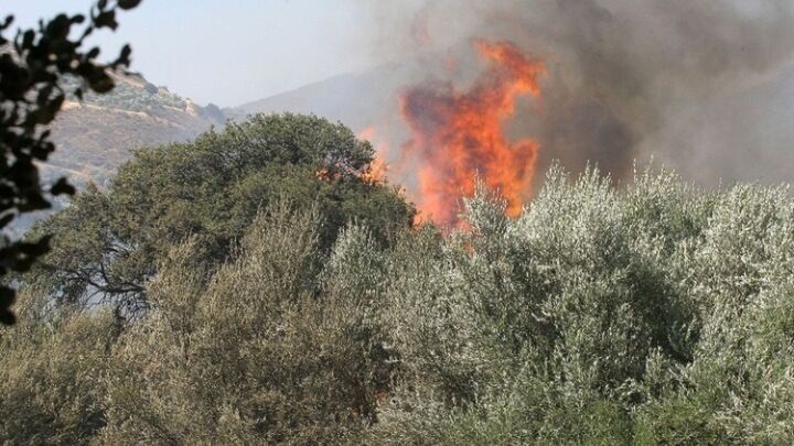 Αλεξανδρούπολη: Υψηλός κίνδυνος εκδήλωσης πυρκαγιάς στον Έβρο και τη Σαμοθράκη σήμερα