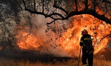 Συνεχίζεται η μάχη με τις φλόγες στη Θάσο - Μήνυμα από το 112 για εκκένωση οικισμού