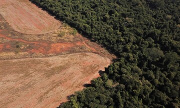 ΕΕ:Eπενδυτές αποχωρούν από εταιρείες καταναλωτικών αγαθών λόγω της νομοθεσίας για αποψίλωση δασών