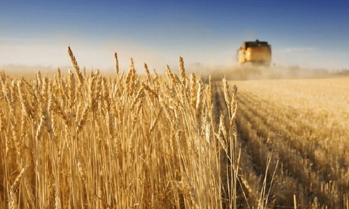 Αγροτικά προϊόντα: Αύξηση 2,36% στις τιμές τον Μάιο