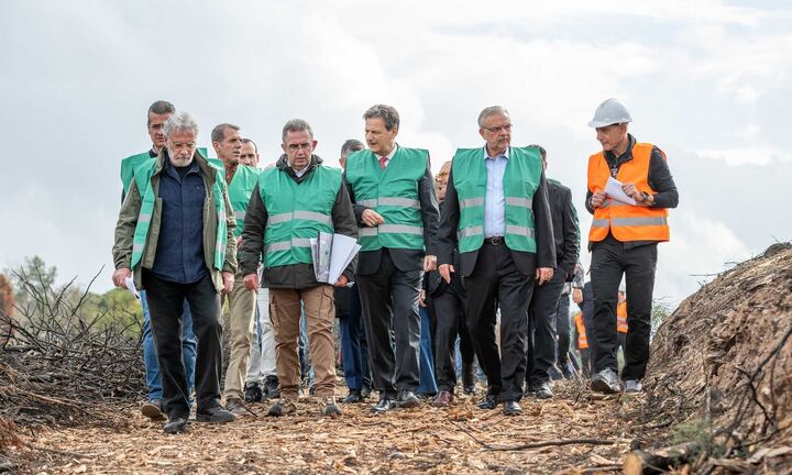 Αντιδιαβρωτικά έργα στην Πεντέλη ύψους 2 εκατ. ευρώ αναλαμβάνει η Πειραιώς