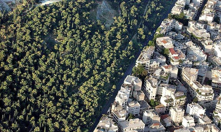 Δεν το δήλωσες στο Κτηματολόγιο; Το έχασες