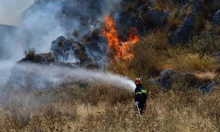 Οριοθετήθηκε η φωτιά στην Σμέρνα της Ηλείας - Συνεχίζονται οι προσπάθειες για πλήρη έλεγχο