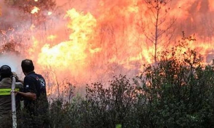 Υπό μερικό έλεγχο η πυρκαγιά στην Ύδρα - Βελτιώθηκε η κατάσταση στη Χίο